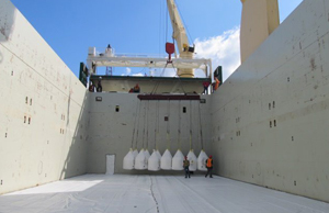 Great working relationships built our foundation